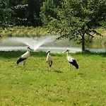 Beautiful In Masuria On River And Holiday home Stacze