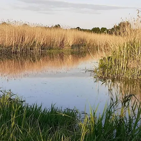 Beautiful In Masuria On River And *