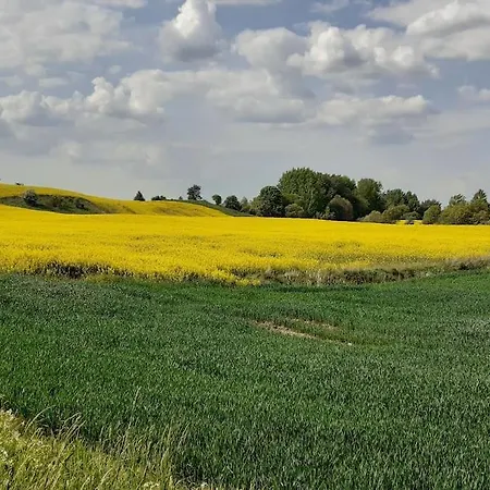 Beautiful In Masuria On River And *