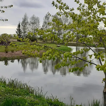 Beautiful In Masuria On River And 度假居