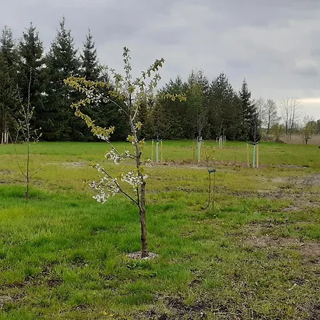 度假居 Beautiful In Masuria On River And Stacze