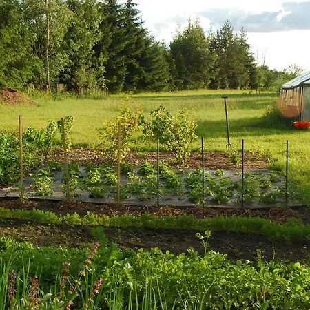 Beautiful In Masuria On River And Stacze