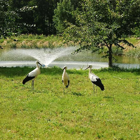 Beautiful In Masuria On River And 度假居 Stacze