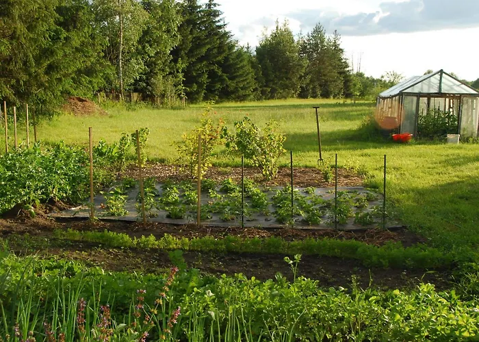 Beautiful In Masuria On River And Stacze