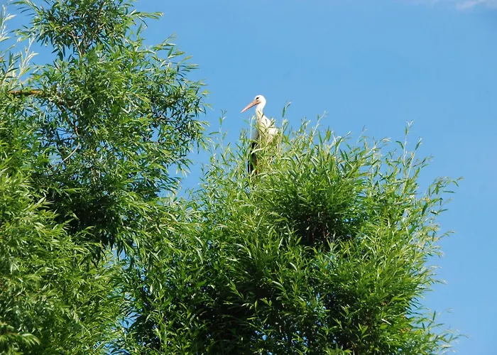 Beautiful In Masuria On River And Дом отдыха *