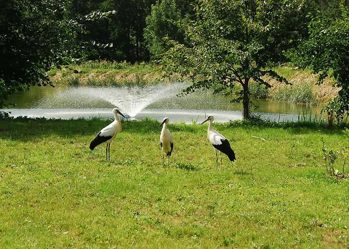 Beautiful In Masuria On River And Дом отдыха Stacze